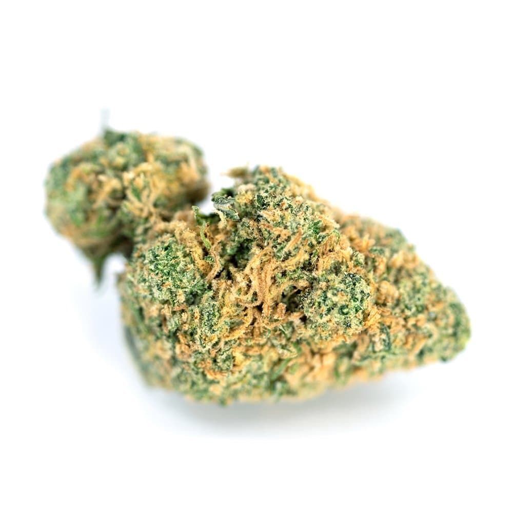 Gelato
