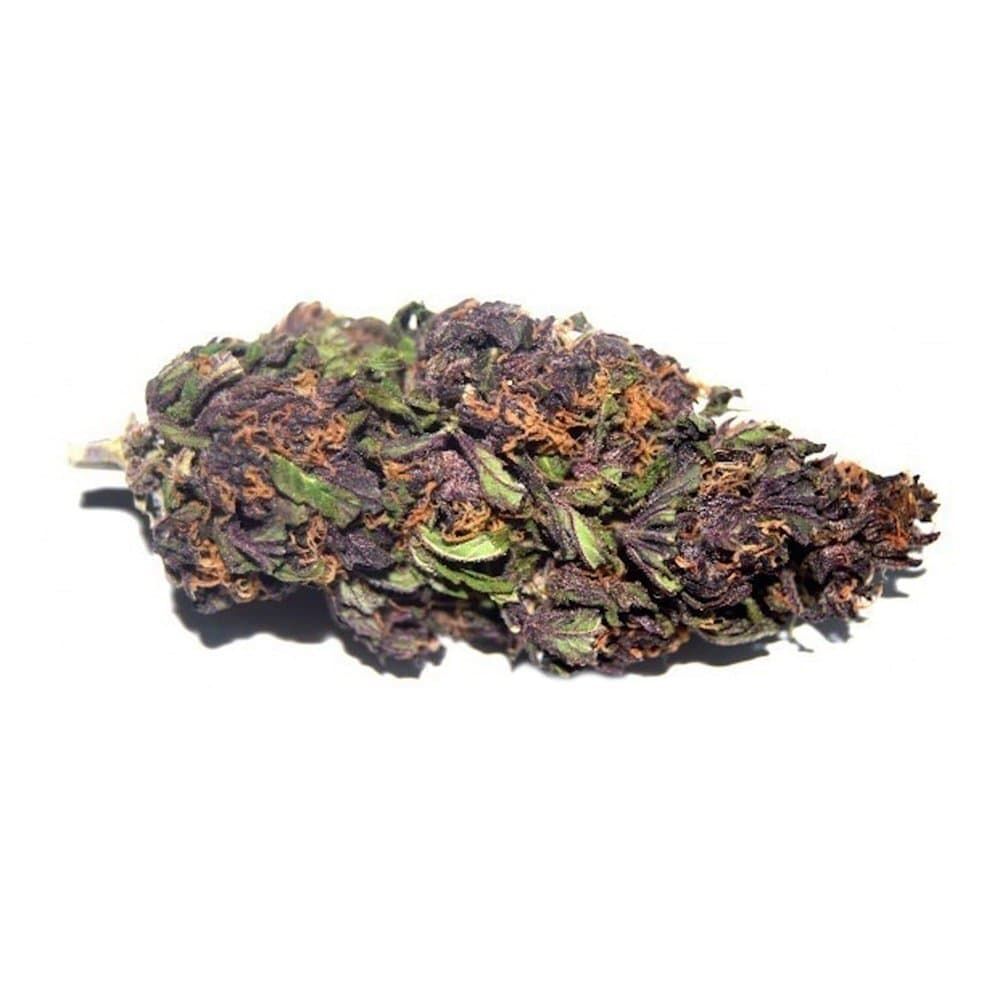 Purple Haze